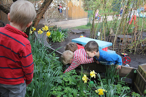 Bug hunting in the garden at Acorns Nursery School, Cirencester.