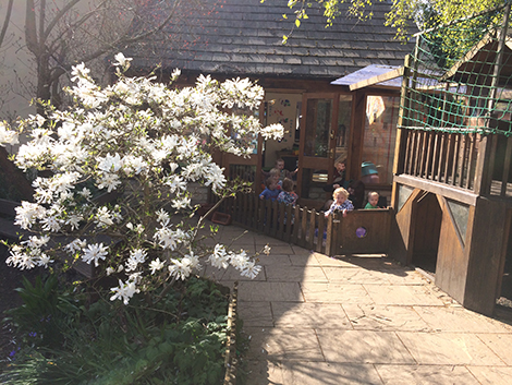 The Magnolia in the garden at Acorns Nursery School Cirencester