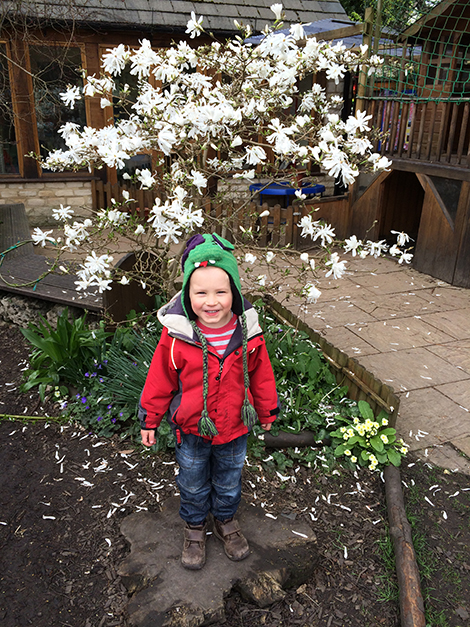 The Magnolia in the garden at Acorns Nursery School Cirencester