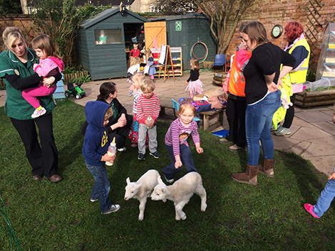 Feeding the lambs in the garden at Acorns Nursery School Cirencester