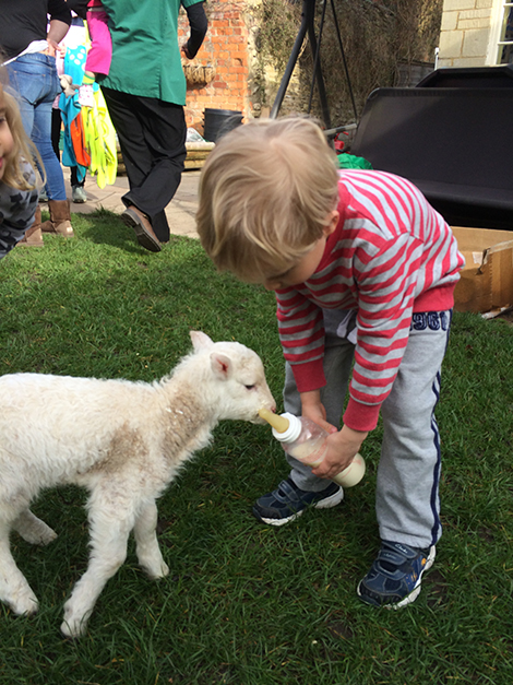 Feeding the lambs in the garden at Acorns Nursery School Cirencester
