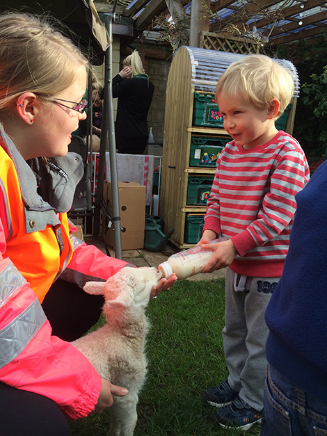 Feeding the lambs in the garden at Acorns Nursery School Cirencester